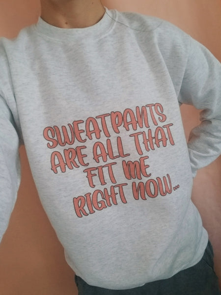 Sweat pants are all that fit me right now unisex fleece lined sweat shirt ink print